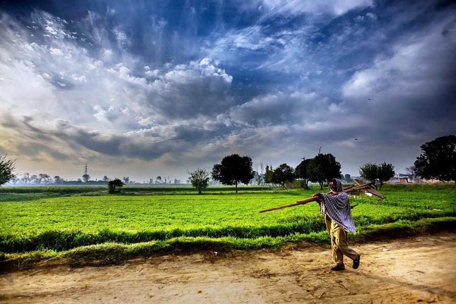 Weather Update : देश – प्रदेश के मौसम का हाल, जानिएं