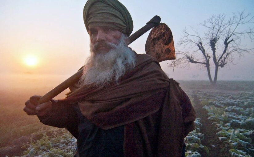 Crop Protection : पाला से किसान कैसे करें फसल सुरक्षा