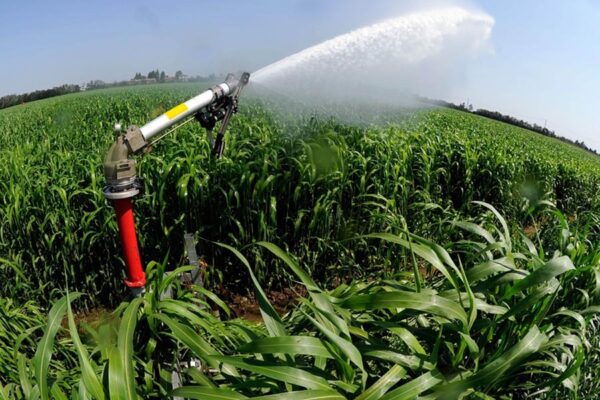 Irrigation Technique