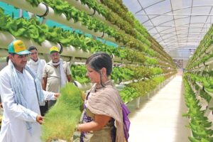 Hydroponics Farming: बिना मिट्टी के खेती करने की खास तकनीक