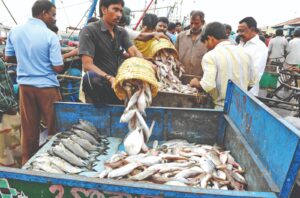 Fish Farming : 90 फीसदी सब्सिडी के लिए मछुआरे तुरंत करें आवेदन