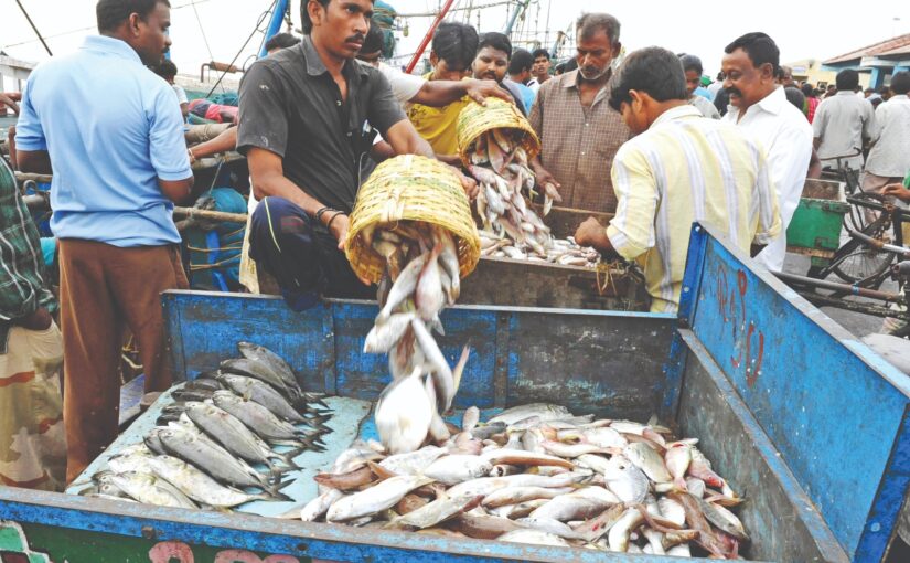 Fish Farming : 90 फीसदी सब्सिडी के लिए मछुआरे तुरंत करें आवेदन