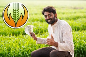 PMFBY: फसल बीमा का उठाएं लाभ, तुरंत करें रजिस्ट्रेशन