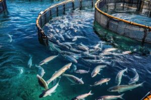 Fish Farming: 9,455 किसानों को मिलेगी मुफ्त ट्रेनिंग