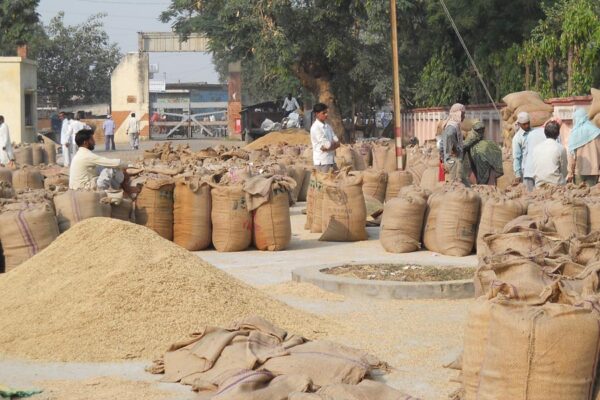 Agriculture News : मोटे अनाज की MSP पर खरीद शुरू