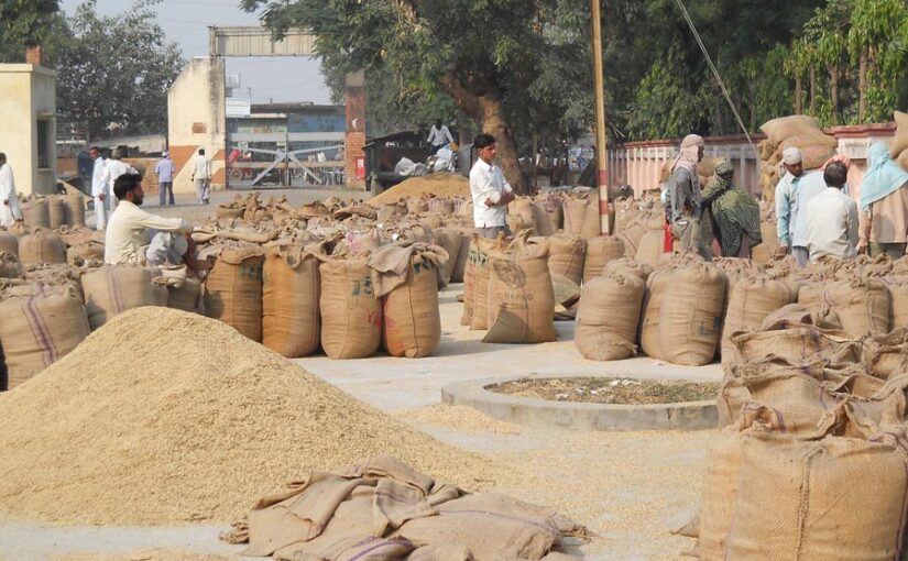 Agriculture News : मोटे अनाज की MSP पर खरीद शुरू