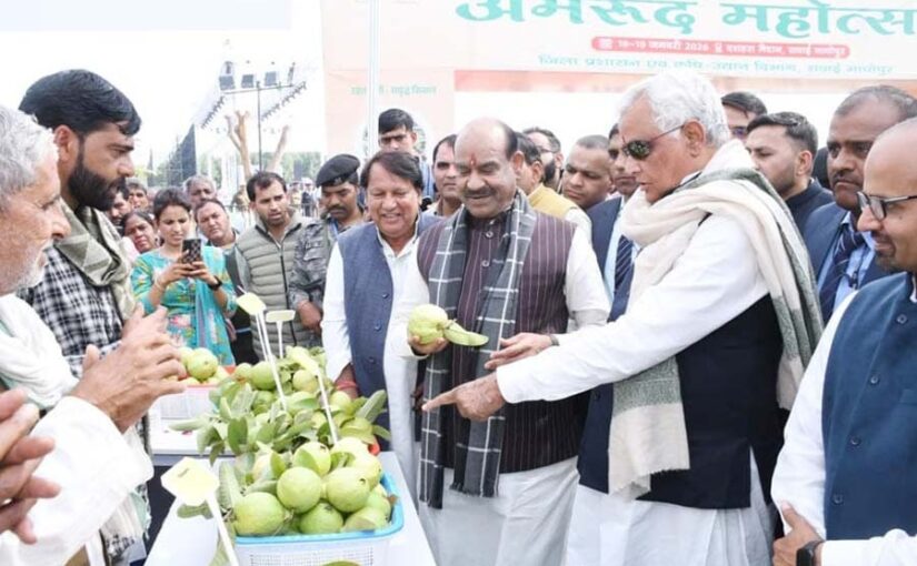 Rajasthan Guava Farming: अमरूद महोत्सव-2026 – 150 करोड़ रुपए की लागत से अमरूद प्रोसेसिंग प्लांट लगेगा