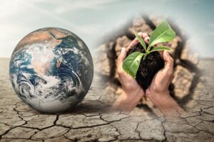 Soil: मिट्टी का सवाल – कार्बन की कमी से कैसे बचाएं उपजाऊ धरती?