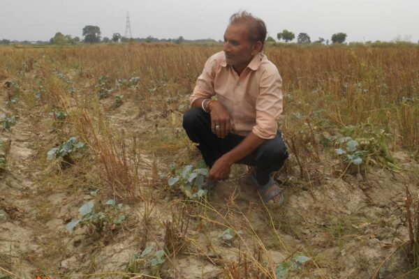 Fake Agrochemicals: नकली खाद और दवाओं से उजड़ते खेत