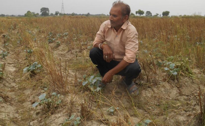 Fake Agrochemicals: नकली खाद और दवाओं से उजड़ते खेत