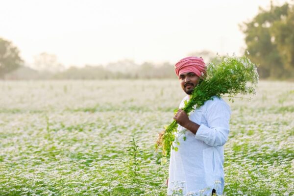 Makar Sankranti: फसल, किसान और समृद्धि का महापर्व