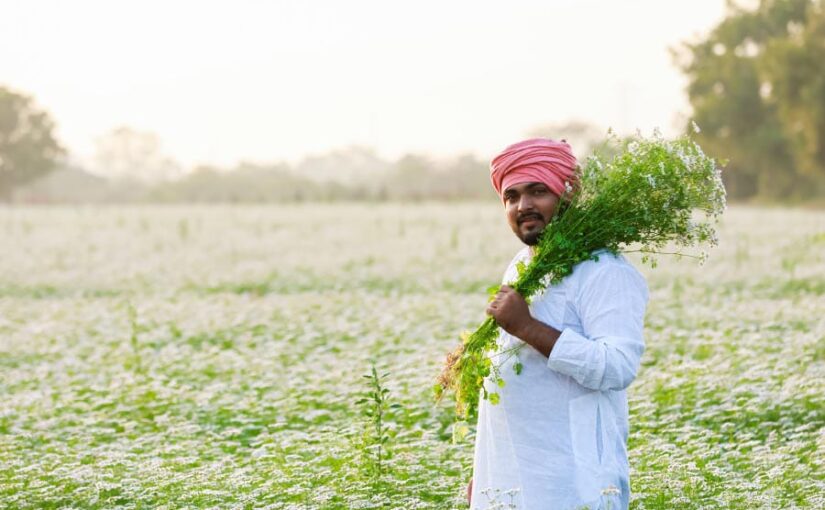 Makar Sankranti: फसल, किसान और समृद्धि का महापर्व