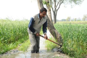 Farming Tips : फरवरी महीने में करें खेती के ये काम