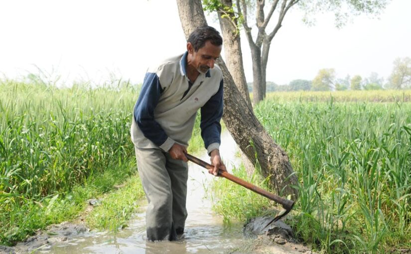 Farming Tips : फरवरी महीने में करें खेती के ये काम