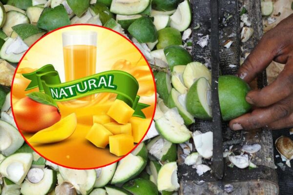 Fruit Processing: फ्रूट प्रोसेसिंग का बड़ा बाजार