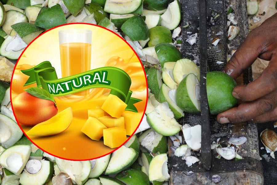 Fruit Processing: फ्रूट प्रोसेसिंग का बड़ा बाजार