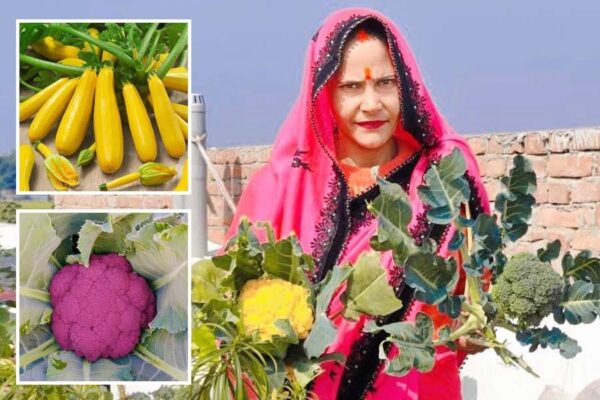 Colourful Vegetables: सेहत के लिए लाभकारी हैं रंगीन सब्जियां