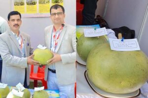 Eat Rainbow : सेहत के लिए लाभकारी हैं रंगीन सब्जियां