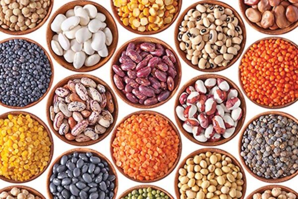 Pulses Production : भारत बनेगा दालों का सुपर सप्लायर