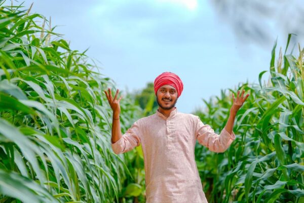 Rice and Wheat: चावल और गेहूं में आत्मनिर्भर हुआ भारत