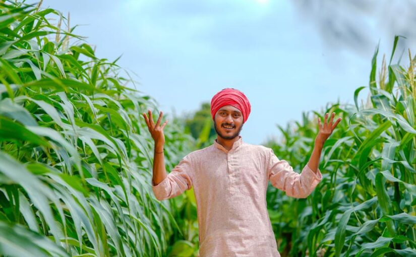 Rice and Wheat: चावल और गेहूं में आत्मनिर्भर हुआ भारत