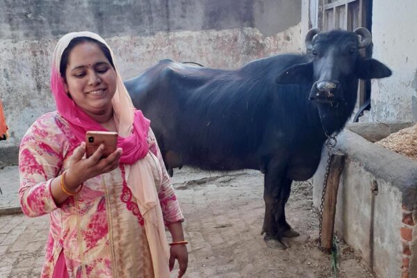 Animal Treatment: घर बैठे पशु का इलाज केवल 2 रुपए में