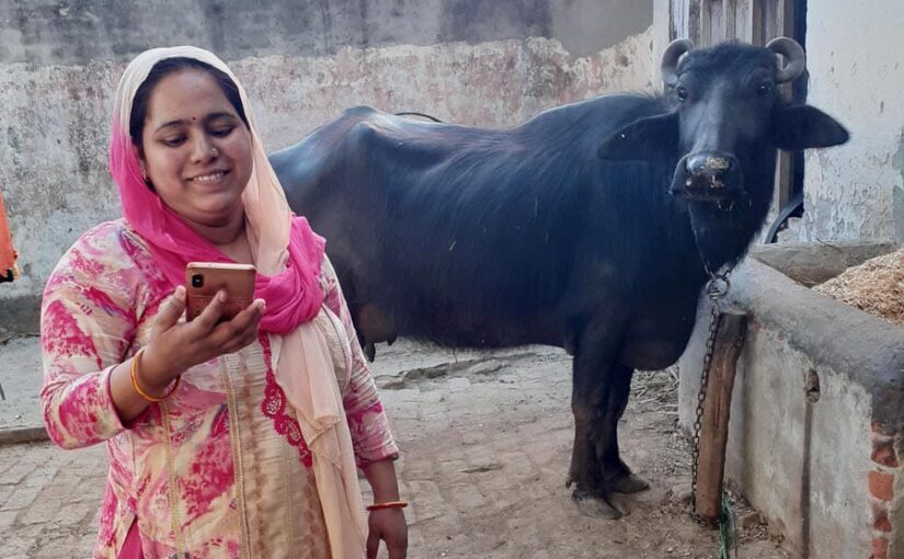 Animal Treatment: घर बैठे पशु का इलाज केवल 2 रुपए में