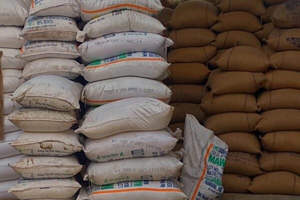 Grain Storage: अनाज भंडारण कैसे करें सुरक्षित?