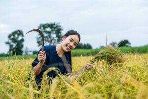 IARI की विकसित किस्मों से महका किसानों का जीवन