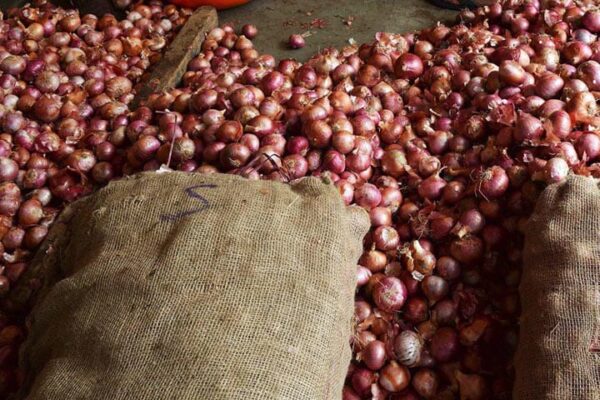 Onion storage : कम लागत में प्याज भंडारगृह, उठाएं सरकारी लाभ