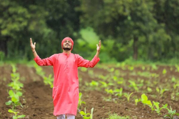 IARI द्वारा विकसित की फल सब्जी की उन्नत किस्में