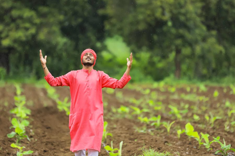 IARI द्वारा विकसित की फल सब्जी की उन्नत किस्में