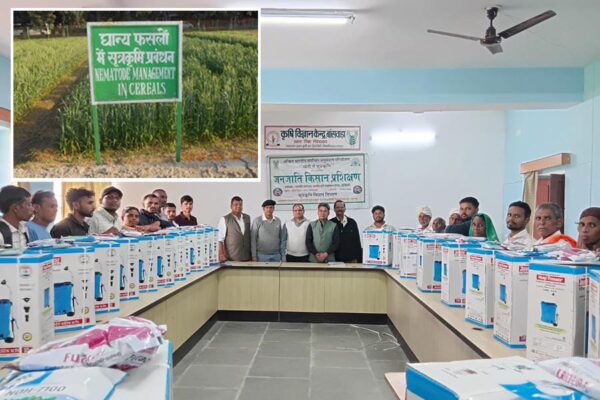 Nematode : विशेषज्ञ मार्गदर्शन से बढ़ेगी फसल उत्पादकता