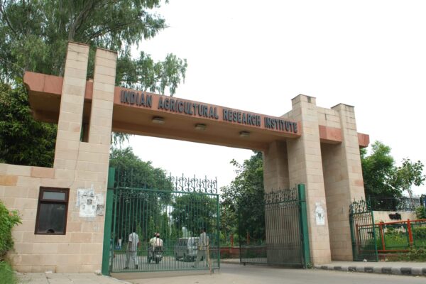 Agricultural News : सपनों का तकनीकी समाधान ICAR -IARI