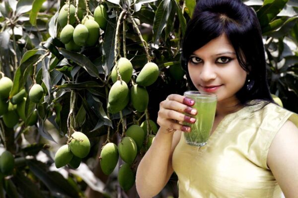 Summer Drink : आमपना बनाएं और बेचें