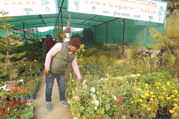 Nursery Farming : नर्सरी लगाएं, सरकारी सब्सिडी पाएं