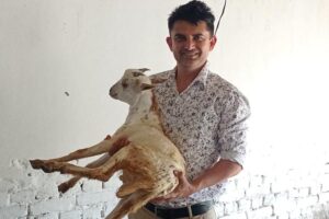 Goat Farming: बकरीपालन में बरतें सावधानी, समय पर कराएं टीकाकरण