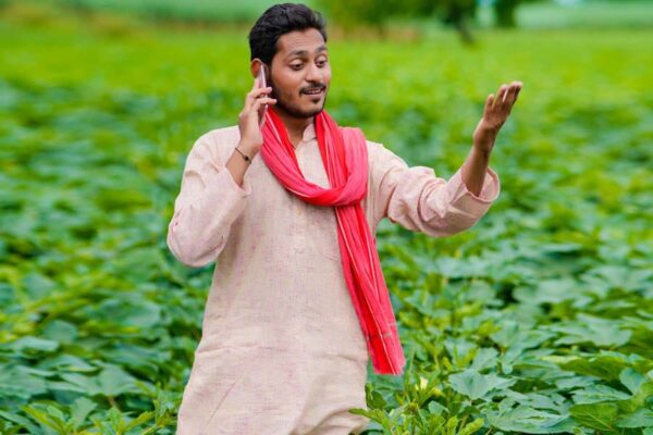 Okra Cultivation : भिंडी की खेती – कम लागत में अधिक लाभ