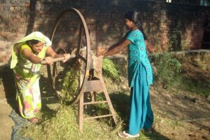 Chaff Cutter : चाफ कटर से मिले पशुओं को मनपसंद चारा