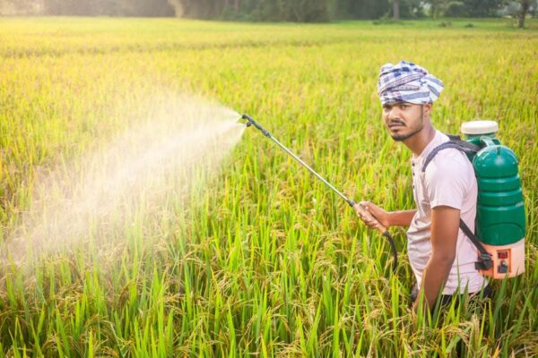 Pesticides: सावधानी से करें कीटनाशक रसायनों का इस्तेमाल