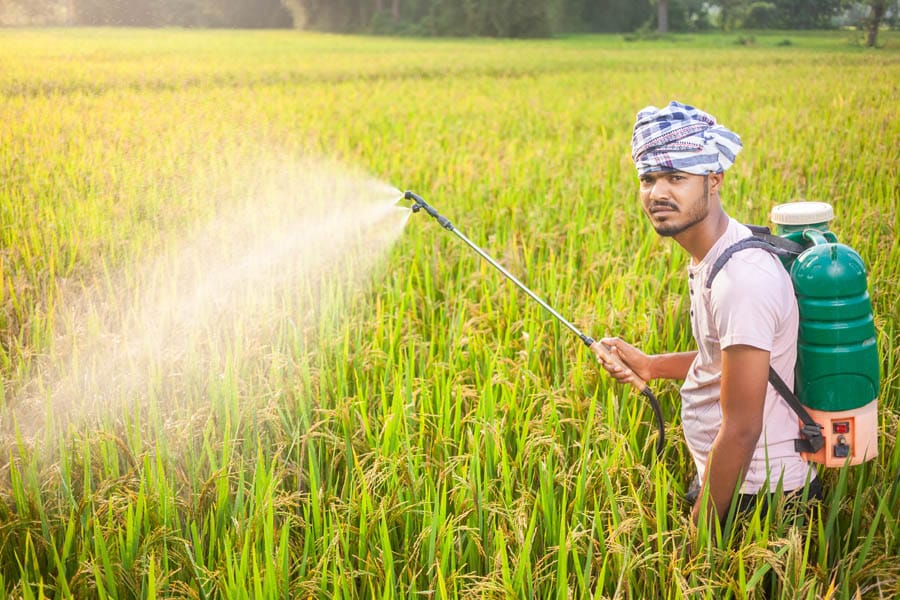 Pesticides: सावधानी से करें कीटनाशक रसायनों का इस्तेमाल