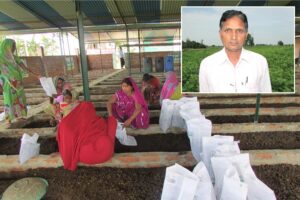 Modern Farming: आधुनिक खेती अपना कर पाई तरक्की की राह