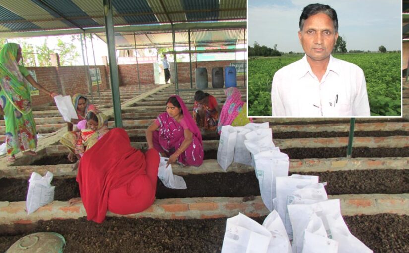 Modern Farming: आधुनिक खेती अपना कर पाई तरक्की की राह