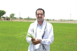 Plant Disease: धान के बकाने रोग की रोकथाम