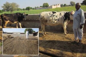 Farmer Story : जैविक खेती से भंवर ने कमाया नाम