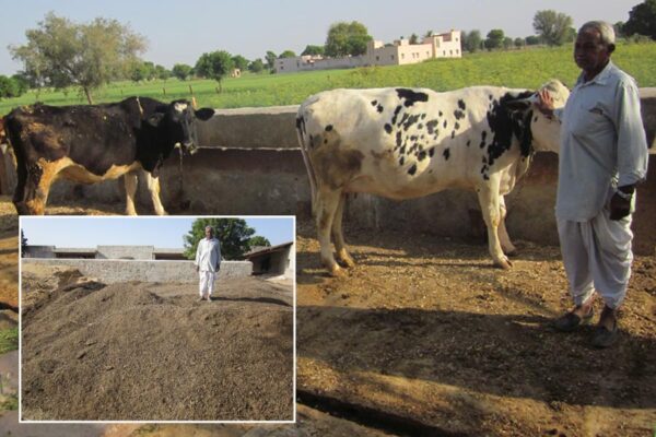 Farmer Story : जैविक खेती से भंवर ने कमाया नाम