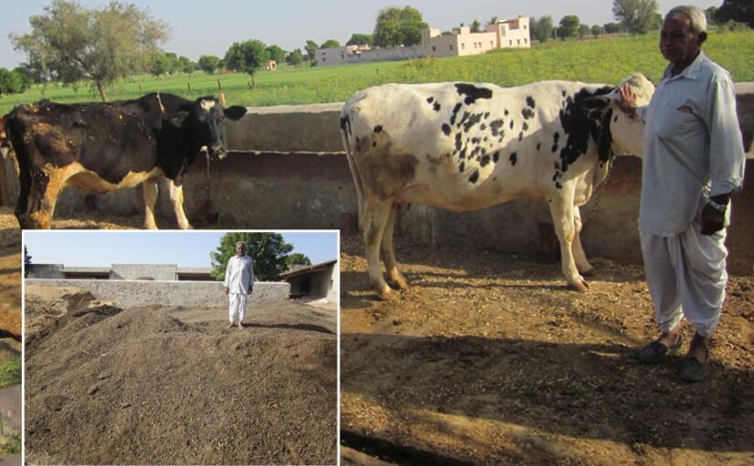 Farmer Story : जैविक खेती से भंवर ने कमाया नाम