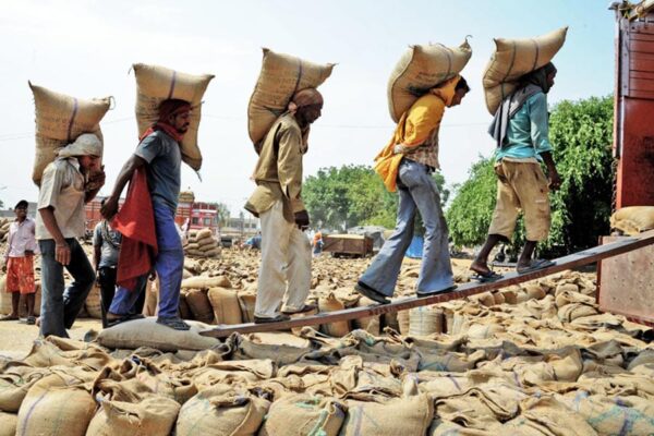 Wheat Procurement 2026: बढ़ा MSP,डिजिटल भुगतान से मिली राहत