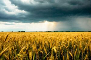 Weather News: आने वाले दिनों में कैसा रहेगा मौसम