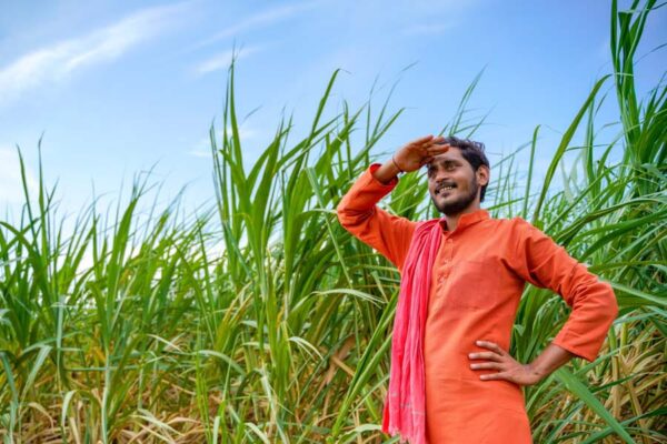 Weather Update: जानिए आने वाले दिनों में कैसा रहेगा मौसम